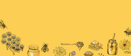 Honey background sketch on yellow background. Vector illustration can be used for wrapping paper, label, poster, cards. Engraved or ink vector honey illustrations.のイラスト素材
