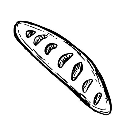 Bread or pastry vector illustration in hand drawn sketch. Engraving element of wheat product for bakery shop.のイラスト素材