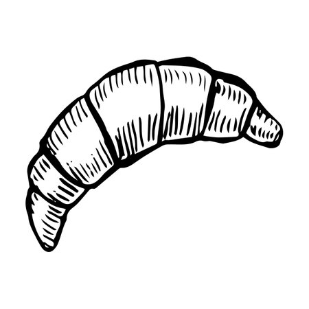 Bread or pastry vector illustration in hand drawn sketch. Engraving element of wheat product for bakery shop.のイラスト素材