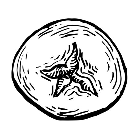 Bread or pastry vector illustration in hand drawn sketch. Engraving element of wheat product for bakery shop.のイラスト素材