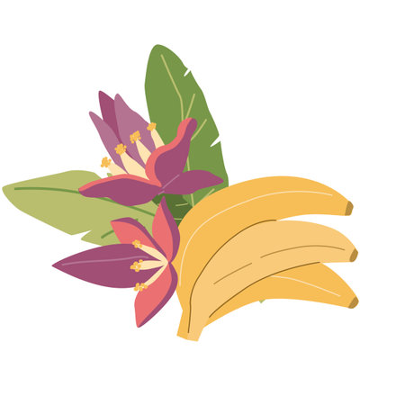 Colorful bananas and flowers illustration with green leaves.のイラスト素材