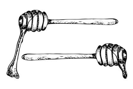 Wooden honey stick vector sketch set. Honey dripping from a wooden spoon. Vintage linear hand drawn illustration of wooden dipper for sweet syrup products.のイラスト素材