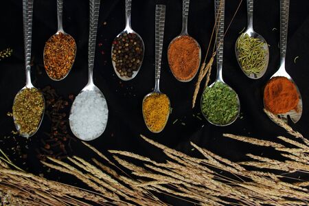 different kind of seasoning on spoons on black backgroundの写真素材