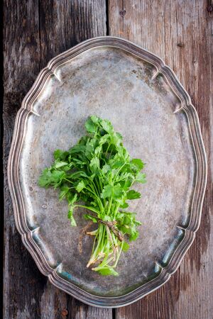 Fresh bunch of cilantro on a vintage tray, top view, selective focusの写真素材