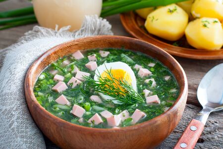 Traditional Russian cold summer soup - a bowl of sausage and fresh herbs, horizontalの写真素材
