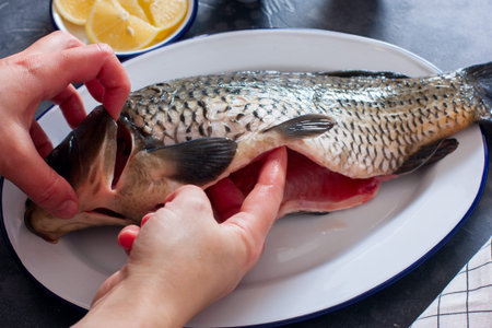 Raw carp without viscera, female hands showing absence of gills and viscera, horizontal