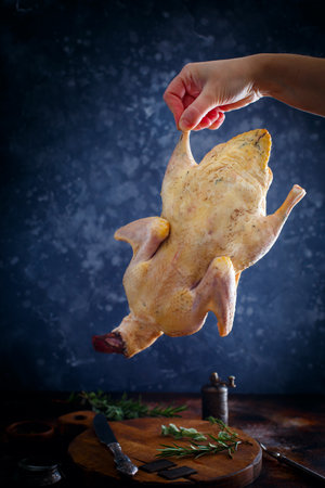 Raw fresh homemade indong, duck in female hands, selective focusの写真素材