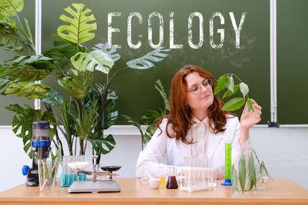A woman studies plants and conducts environmental research in test tubes. A teacher conducts an ecology lesson at the university, copy spaceの写真素材