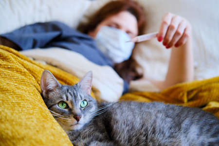 Cat is lying at the feet of a woman with coronavirus. Redhead girl looks at the thermometer lying in bedの写真素材