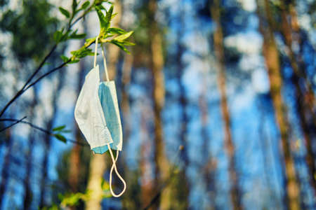 A protective mask hangs on a tree branch in the Park. Concept of recovery from the coronavirus epidemic and ending isolationの写真素材