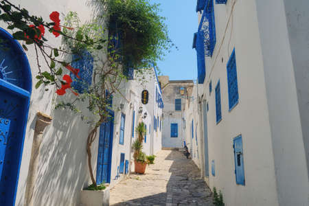A street in the Arab village of Sidi Bou Said. House with arabic windows and doors with blue ornaments, Sidi Bou Said, Tunisia, Africaの写真素材