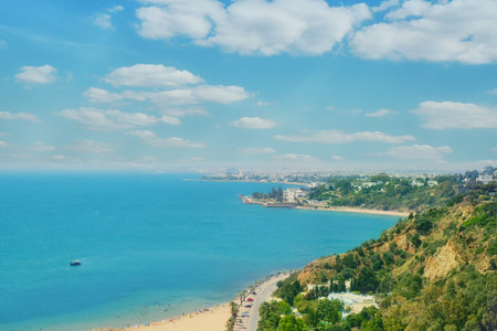 Sea, beach, promenade and coastal road in Sidi Bou said, top view. Mediterranean marine landscape,...