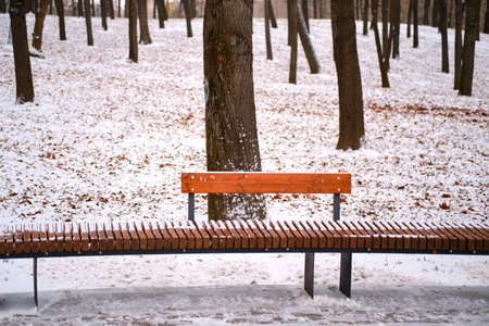 Large wooden bench in the winter forestの写真素材