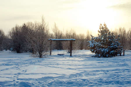 Winter landscape at dawn with large swings. Christmas trees and other trees in the snow. Yellow winter sun rises above the forest.の写真素材