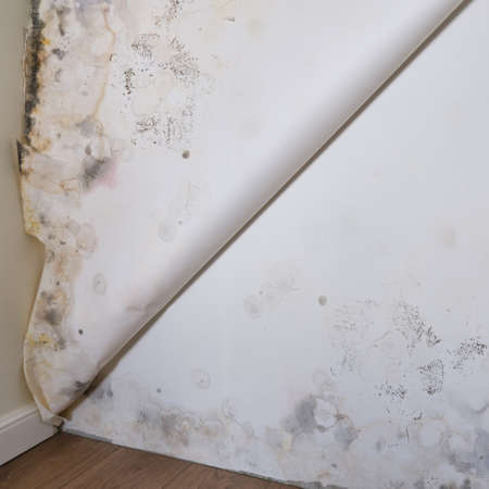 Wallpaper with mold has moved away from the wallの写真素材