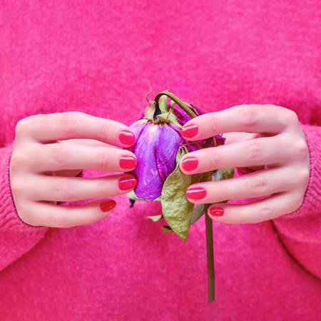 A woman holds a dry purple flower in her hands. Withered love after a relationship and a weddingの写真素材