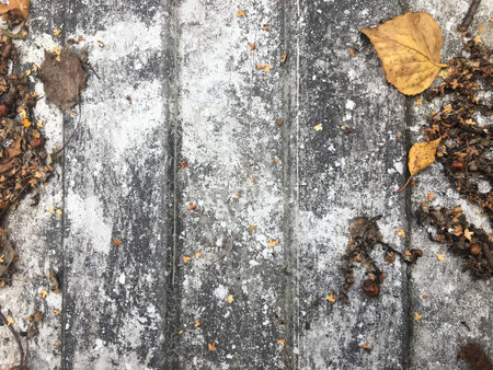 Autumn leaves on old grunge wooden boards, top viewの写真素材