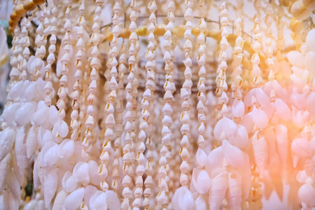 Background of white shells on a string. Light texture of seashells. Decorative ornament of sea...