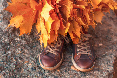 Yellow autumn leaves lie on the stone next to the female boots. A woman stands on a stone near a wreath of maple leaves. The concept of the autumn mood.の写真素材