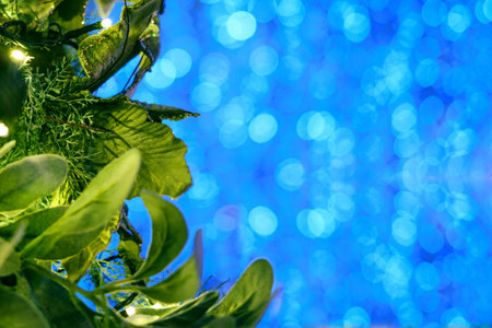 Green christmas tree and blue bokeh, copy space. Xmas decorations on new yearの写真素材