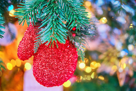 Red mitten with a branch of mistletoe hanging as a decoration on a green Christmas tree, close-up