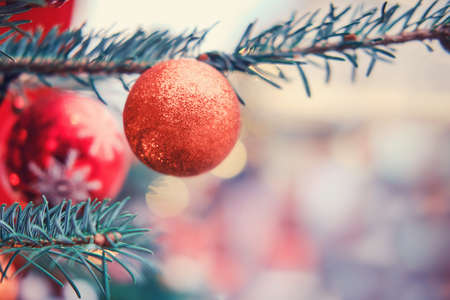Christmas tree branch with orange bauble and bokeh, copy space. Xmas decorations on new yearの写真素材