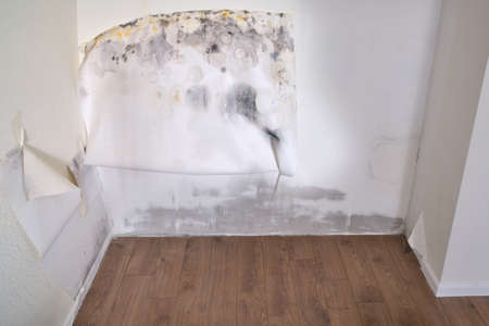 Wall in the home before and after cleaning wallpaper from moldの写真素材