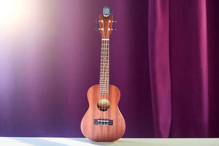 Classic ukulele on purple background. Small wooden guitar on curtains background. Ukulele stands on a white table.の写真素材
