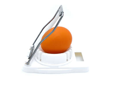 White background, isolate. Cutting eggs for cooking. Egg in shell a white egg-cutter.の写真素材