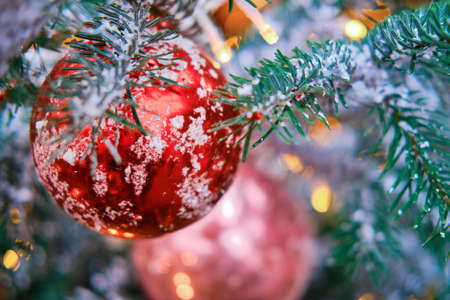 Red balls in the snow as a decoration for the New Years celebration, yellow bokeh. Winter christmas tree in the snow with bauble, copy spaceの写真素材