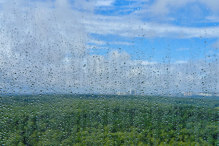 Spring park with tree through window with water drops after rain, background