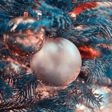 White balls on a blue branch as a decoration for the celebration of the new year. Winter christmas tree with baubleの写真素材