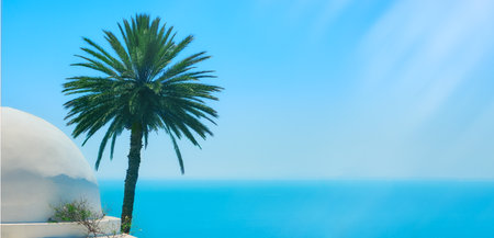 Ocean, palm and sky, copy space background. Arabian seascape in Sidi Bou Said, Tunisiaの写真素材