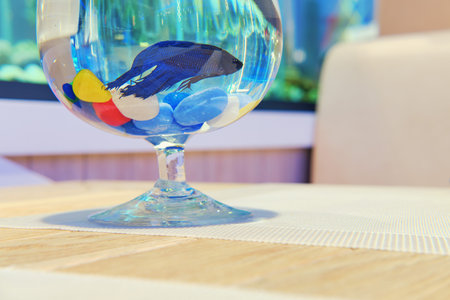 Fish in a small aquarium on the table in seafood restaurant