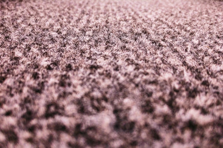 Background fleecy carpet beige with black colorの写真素材