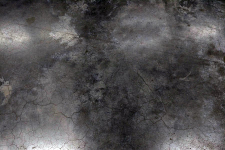 The background is a dirty gray concrete texture with cracksの写真素材