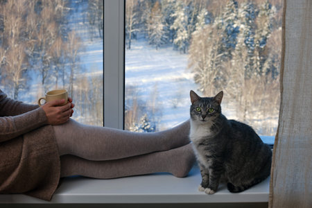 The cat sits at the feet of a woman by the window with a winter snowy forest. Pet sits on the windowsill near the woman legsの写真素材