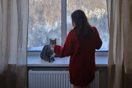 Woman in a knitted sweater stroking a cat looking at a winter park with snow-covered trees outside the windowの写真素材