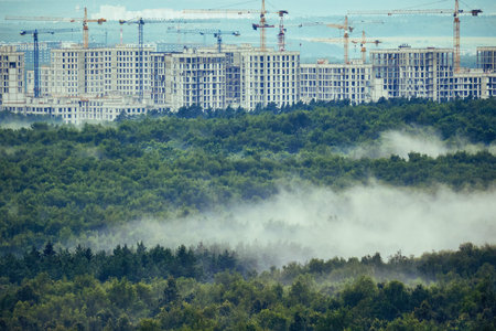 Fog over a large summer forest with city houses under construction and cranes at sunriseの写真素材
