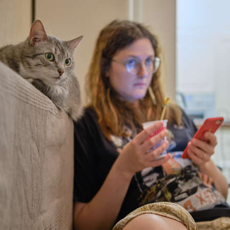Gray cat watching TV on the sofa next to a woman, close-up portraitの写真素材