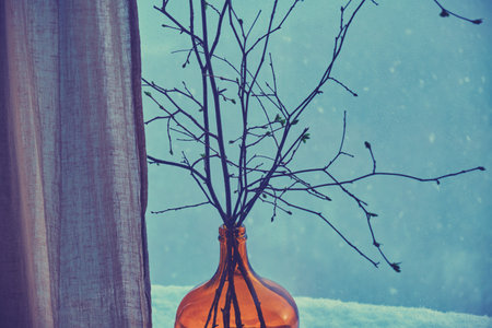 A vase with buds of leaves and tree branches on a winter window in anticipation of springの写真素材