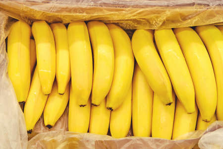 Food background yellow bananas in a box, fruit close upの写真素材
