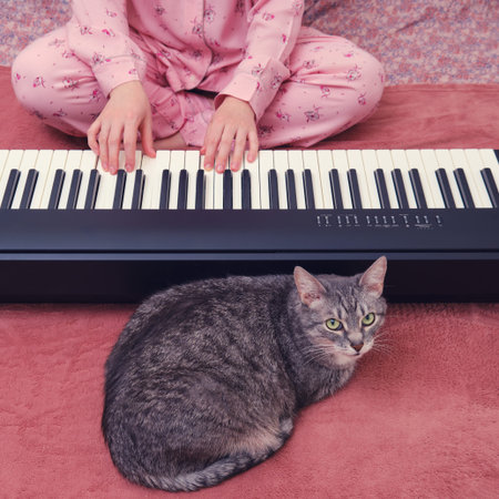 The hands of a woman in pink pajamas on the keys of an electronic piano next to a catの写真素材