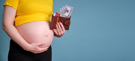 Dollars and credit cards in a pregnant woman wallet, copy space for textの写真素材