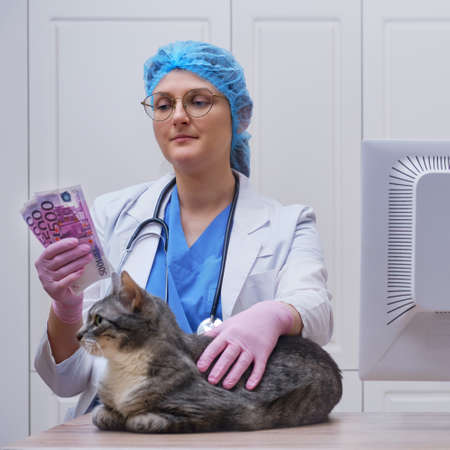 A veterinarian with euros money in his hand and pet on the table in the vet officeの写真素材