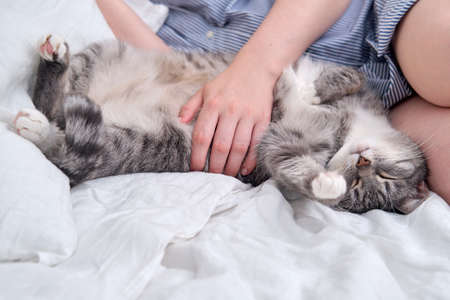A pregnant woman and a funny cat sleep in an embrace during the dayの写真素材