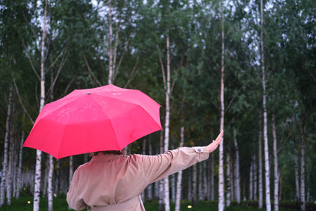 A woman with a red umbrella on the background of a birch forest with young trees