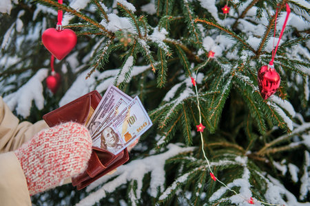 The hands of a woman in mittens hold a purse with dollars at the Christmas tree in a snow park on...
