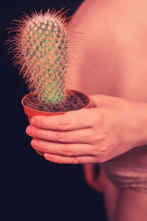 Pregnant naked belly and cactus on black background. Pregnancy problem conceptの写真素材