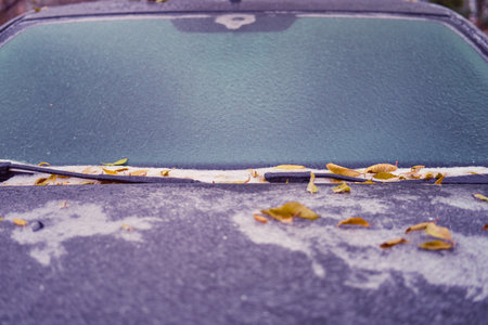 Windshield and hood of a car frozen after the first autumn frost with tree leavesの写真素材